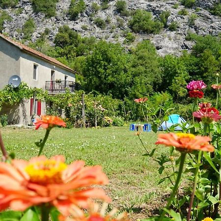 Отель Camp Podkraj Вирпазар Экстерьер фото